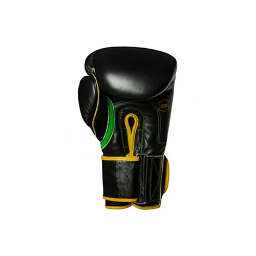 Title Boxing Gloves - WBC